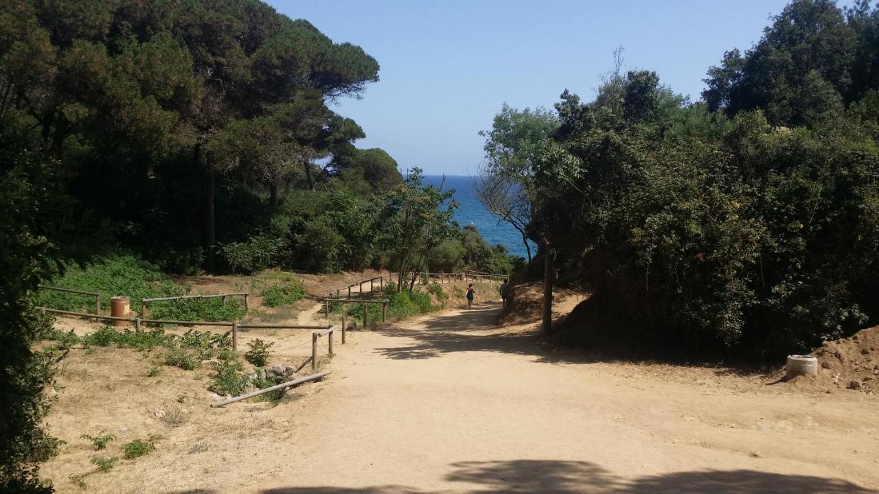 Apartment Sa Boadella Beach, Lloret De Mar - Costa Brava Exteriör bild